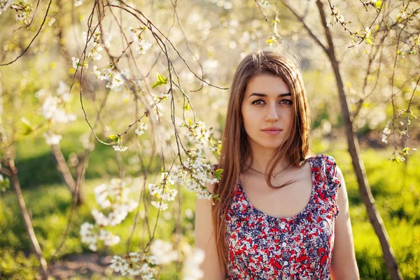 Belle jeune femme debout près des cerisiers en fleurs — Photo