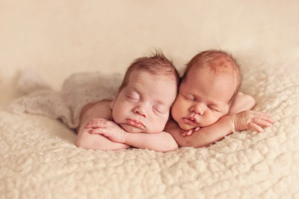 Novorozená dvojčata — Stock fotografie