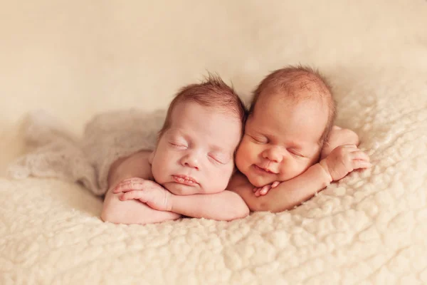 Newborn twins — Stock Photo, Image