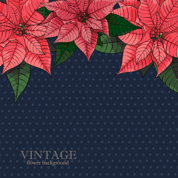 Poinsettia flower background for invitation  card — Stock Vector