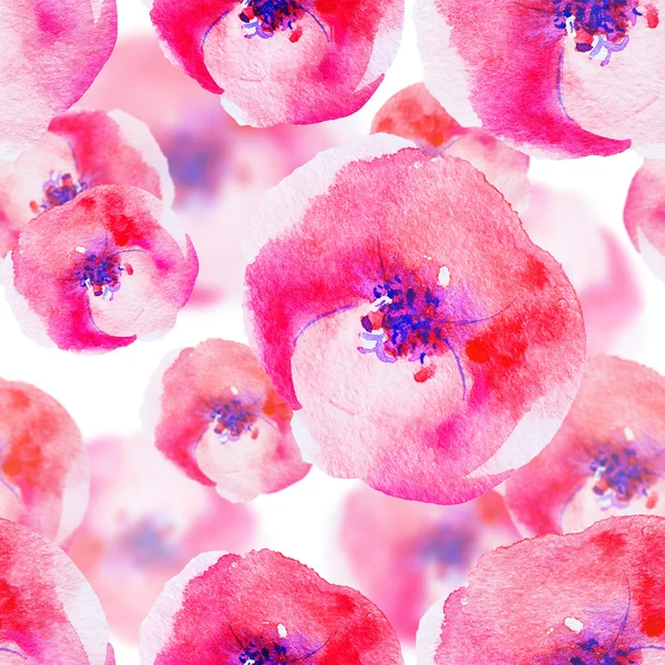Seamless pattern with poppies — Stock Photo, Image
