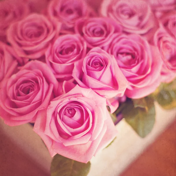 Pink roses background — Stock Photo, Image