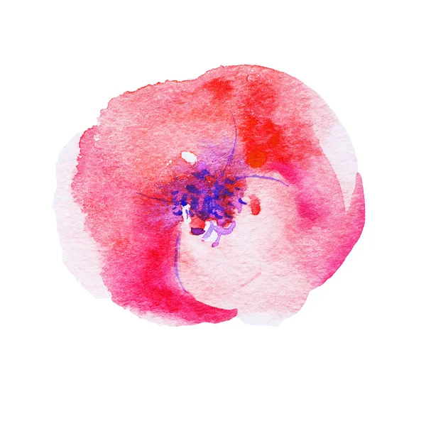 水彩粉红罂粟 — 图库照片