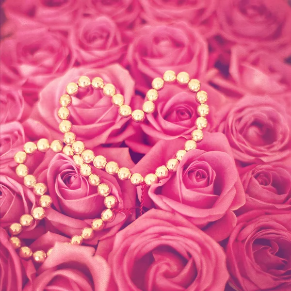 Pink roses background — Stock Photo, Image