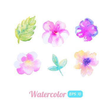 suluboya çiçek öğeleri kümesi