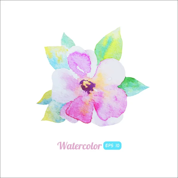 Watercolor flower with leaves — Stock Vector