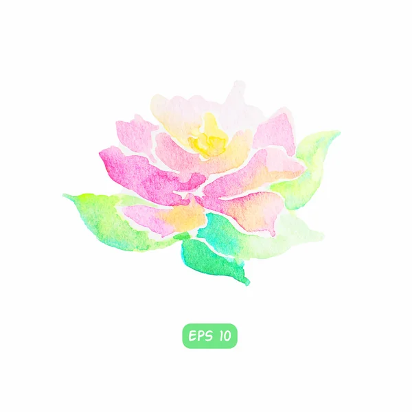水彩花与叶 — 图库矢量图片
