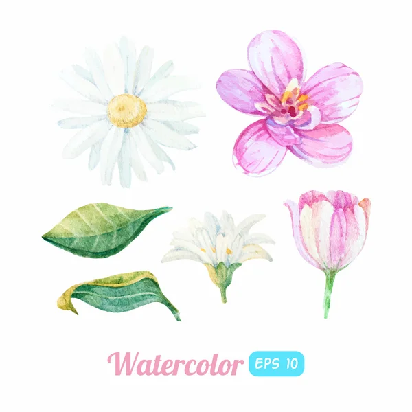 一連の水彩画の花の要素 — ストックベクタ