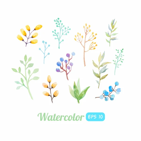वाटर कलर फूल तत्वों का सेट — स्टॉक वेक्टर