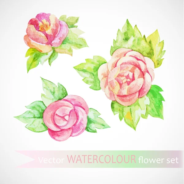 Conjunto de elementos florales acuarela — Vector de stock