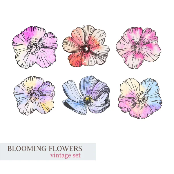 一連の水彩画の花の要素 — ストックベクタ
