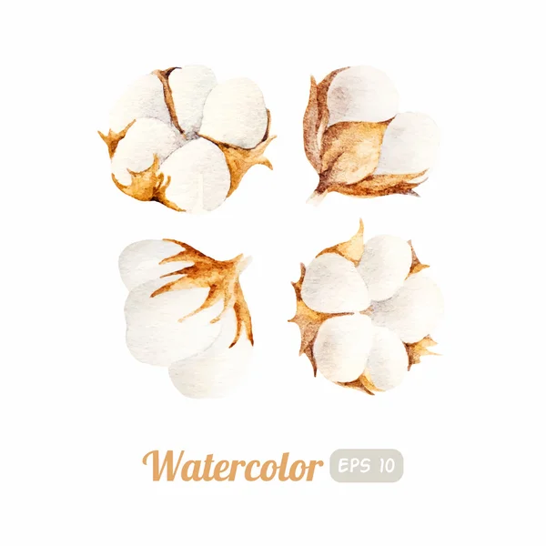 Set van aquarel katoen bloemen — Stockvector