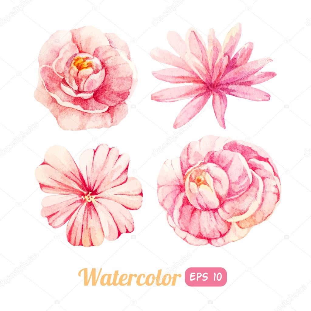 Set of watercolor floral elements