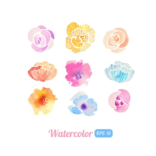 Conjunto de elementos florales acuarela — Vector de stock