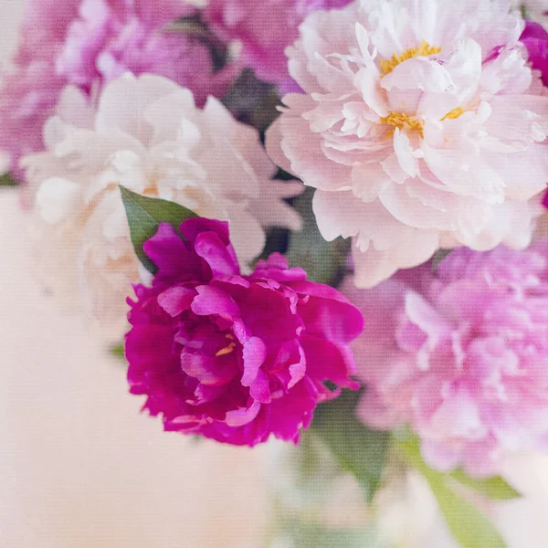 Peony flowers vintage card — Stock Photo, Image