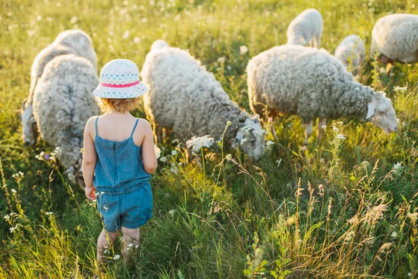 Portrait of a little girl walking in the field — Stock Photo, Image