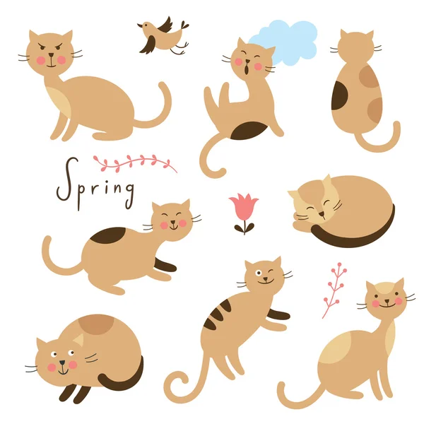 Sada vektorové roztomilé kočky. Kreslené kočky v různých pózách — Stockový vektor