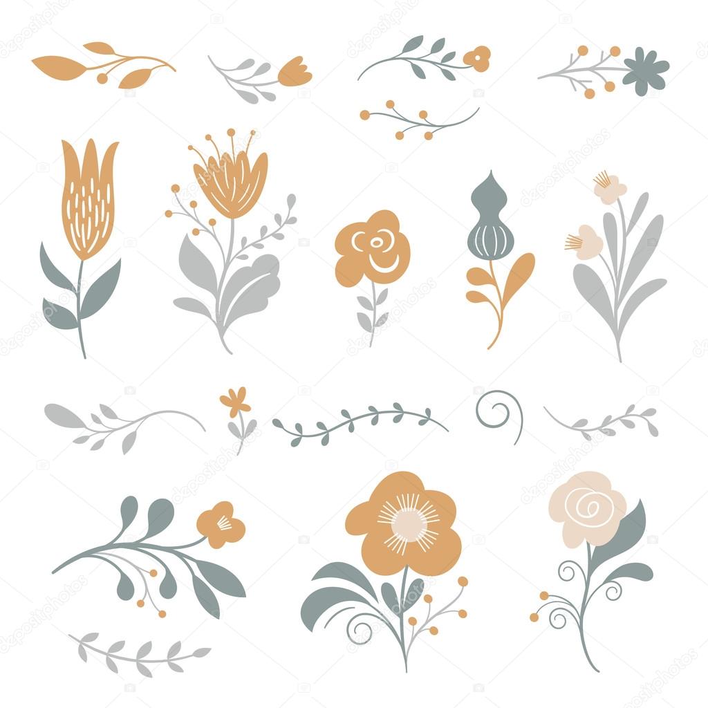 flowers set, vector illustration