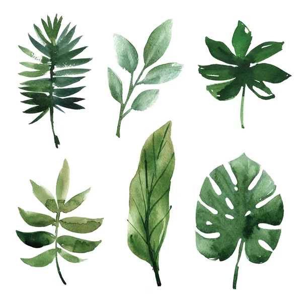 Watercolor tropical leaves — Stock Photo, Image