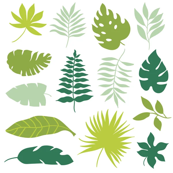 Set of tropical leaves — Stock Vector