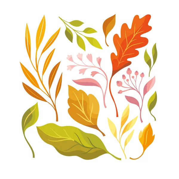 Vector Illustration Autumn Leaves — Stock Vector