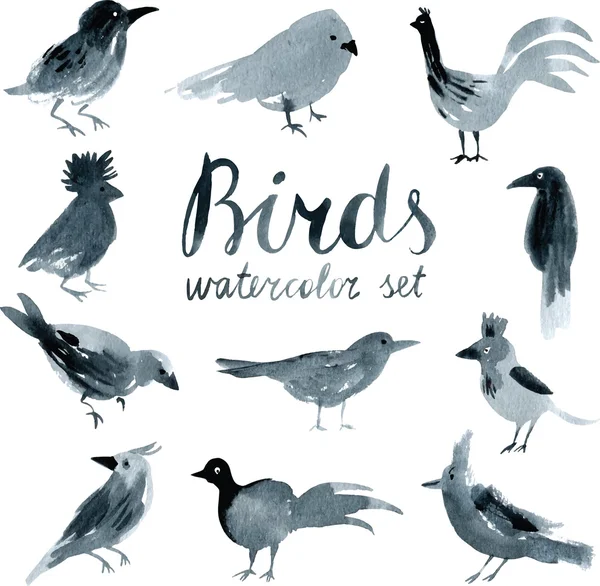 Акварельний набір з птахами — стоковий вектор