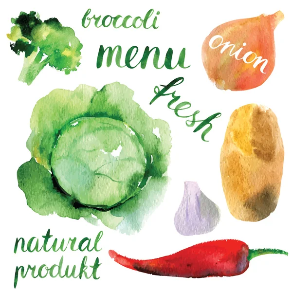 Aquarel groenten set — Stockvector
