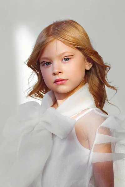 Portrait Little Fashionable Girl Studio — Stok fotoğraf