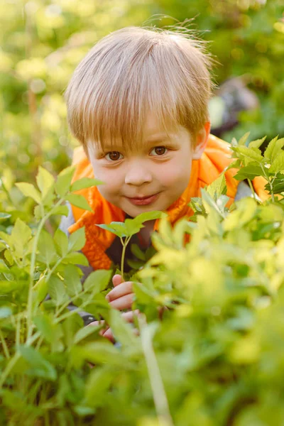 Porträt Eines Modischen Kleinen Jungen Der Natur — Stockfoto