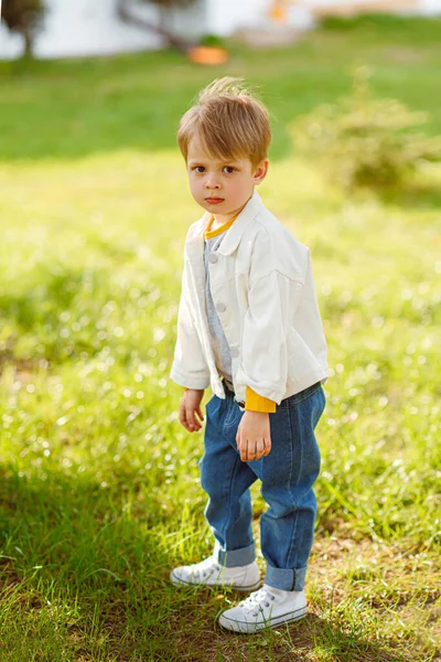 Portrait Fashionable Little Boy Nature — Stockfoto