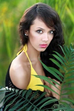 palmiye ağacı güzel zarif esmer kızla