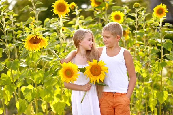 Retrato de um menino e menina no verão — Fotografia de Stock