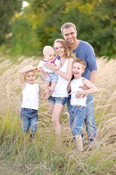 Porträt einer glücklichen Familie, die sich im Sommer in der Natur entspannt — Stockfoto