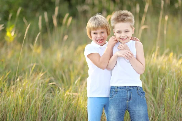 Retrato de um menino e menina no prado no verão — Fotografia de Stock