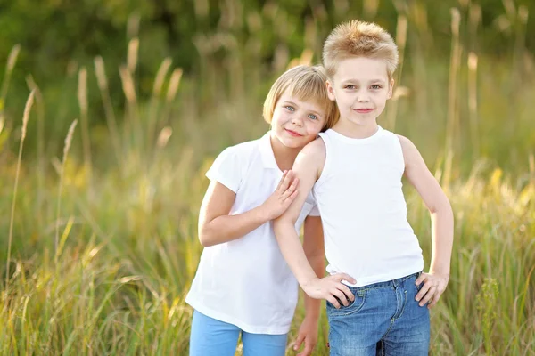 Portret van een jongen en meisje op de weide in de zomer — Stockfoto