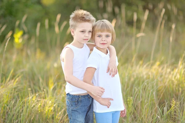 Portrait of a boy and girl on the meadow in summer — Stock Photo, Image