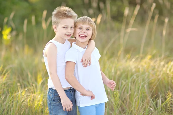 Porträt eines Jungen und eines Mädchens auf der Wiese im Sommer — Stockfoto