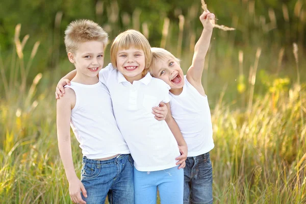 Tři děti si hrají na louce v létě — Stock fotografie