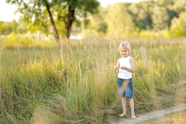 Ritratto di un bambino sul prato in estate — Foto Stock