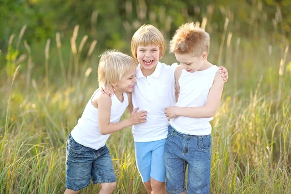 Trzech dzieci bawiące się na łące w lecie — Zdjęcie stockowe