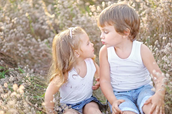 Retrato de um menino e uma menina no campo no verão — Fotografia de Stock