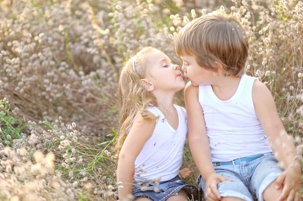 Retrato de un niño y una niña en el campo en verano —  Fotos de Stock