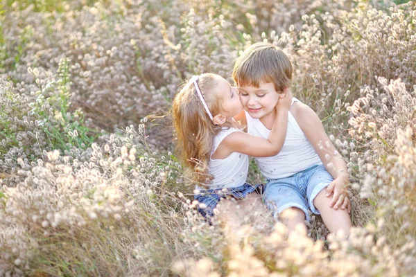 Portret chłopca i dziewczynkę na polu w lecie — Zdjęcie stockowe
