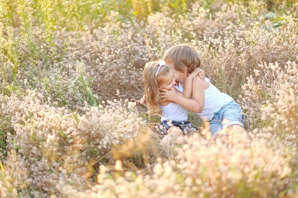 Porträtt av en pojke och flicka på fältet i sommar — Stockfoto