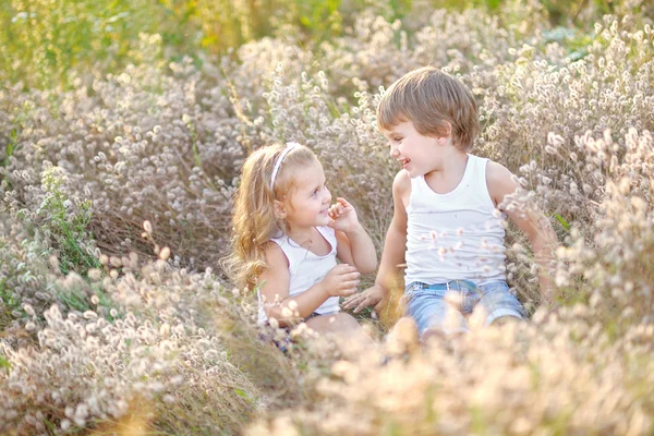 Retrato de um menino e uma menina no campo no verão — Fotografia de Stock