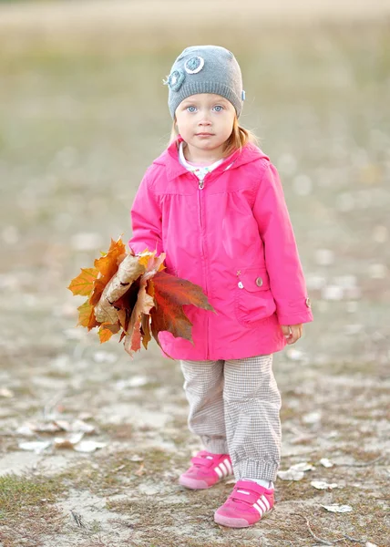 秋季户外的小女孩的肖像 — 图库照片