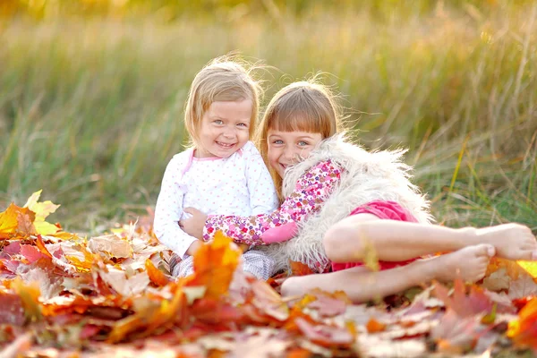 Portrait of two beautiful young sisters in the autumn — Stock Photo, Image