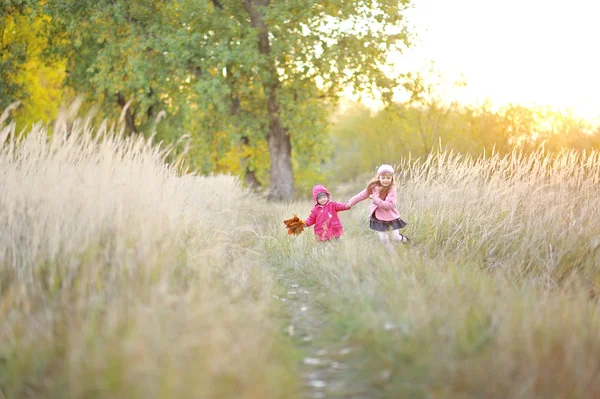 Retrato de dos hermosas hermanas jóvenes en el otoño —  Fotos de Stock