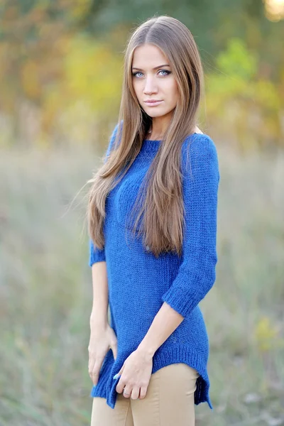 Beautiful elegant brunette girl in a field — Stock Photo, Image