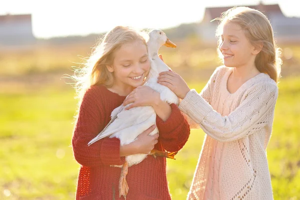 Retrato de dos hermanas durante la cosecha de otoño —  Fotos de Stock